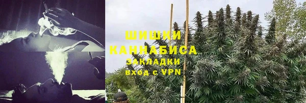 гашик Никольское